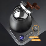 900ML Electric Gooseneck Kettle