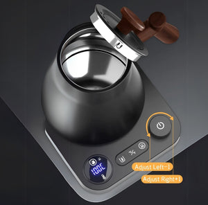 900ML Electric Gooseneck Kettle