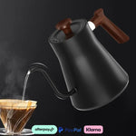 900ML Electric Gooseneck Kettle
